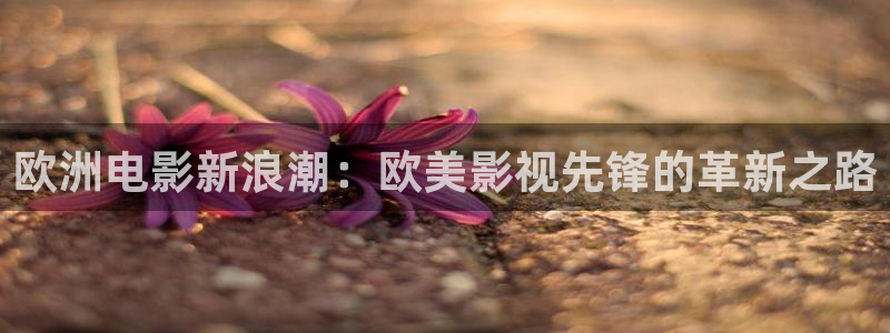 88影视网老九门：欧洲电影新浪潮：欧美影视先锋的革新之路