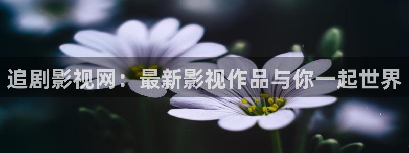 米奇8888影院：追剧影视网：最新影视作品与你一起世界
