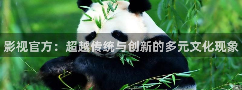 ysl蜜桃色888影院：影视官方：超越传统与创新的多元文化现象