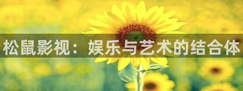 88影视网电视剧全集免费观看：松鼠影视：娱乐与艺术的结合体