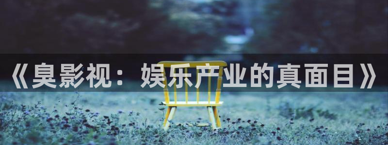 88影视\'：《臭影视：娱乐产业的真面目》