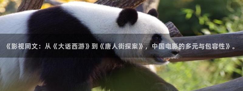 88影视网在线观看：《影视同文：从《大话西游》到《唐人街探案》，中国电影的多元与包容性》。