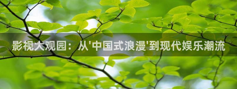 88影视电视剧免费看：影视大观园：从\'中国式浪漫\'到现代娱乐潮流