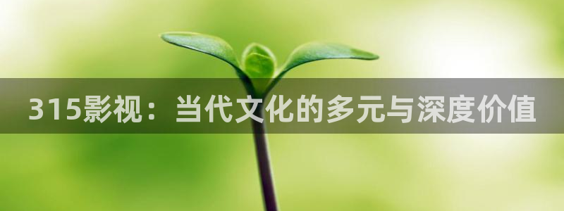 88影院电视剧免费播放：315影视：当代文化的多元与深度价值