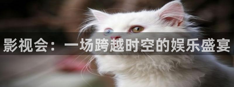 88影视app官网：影视会：一场跨越时空的娱乐盛宴